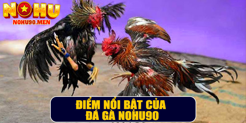 Điểm nổi bật của đá gà NOHU90