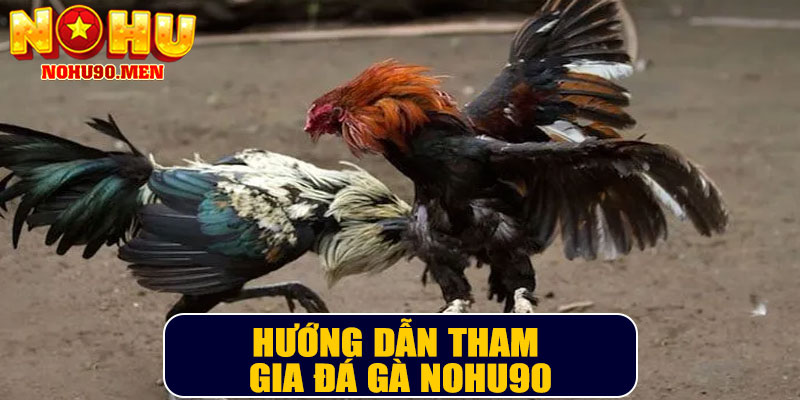 Hướng dẫn tham gia đá gà NOHU90
